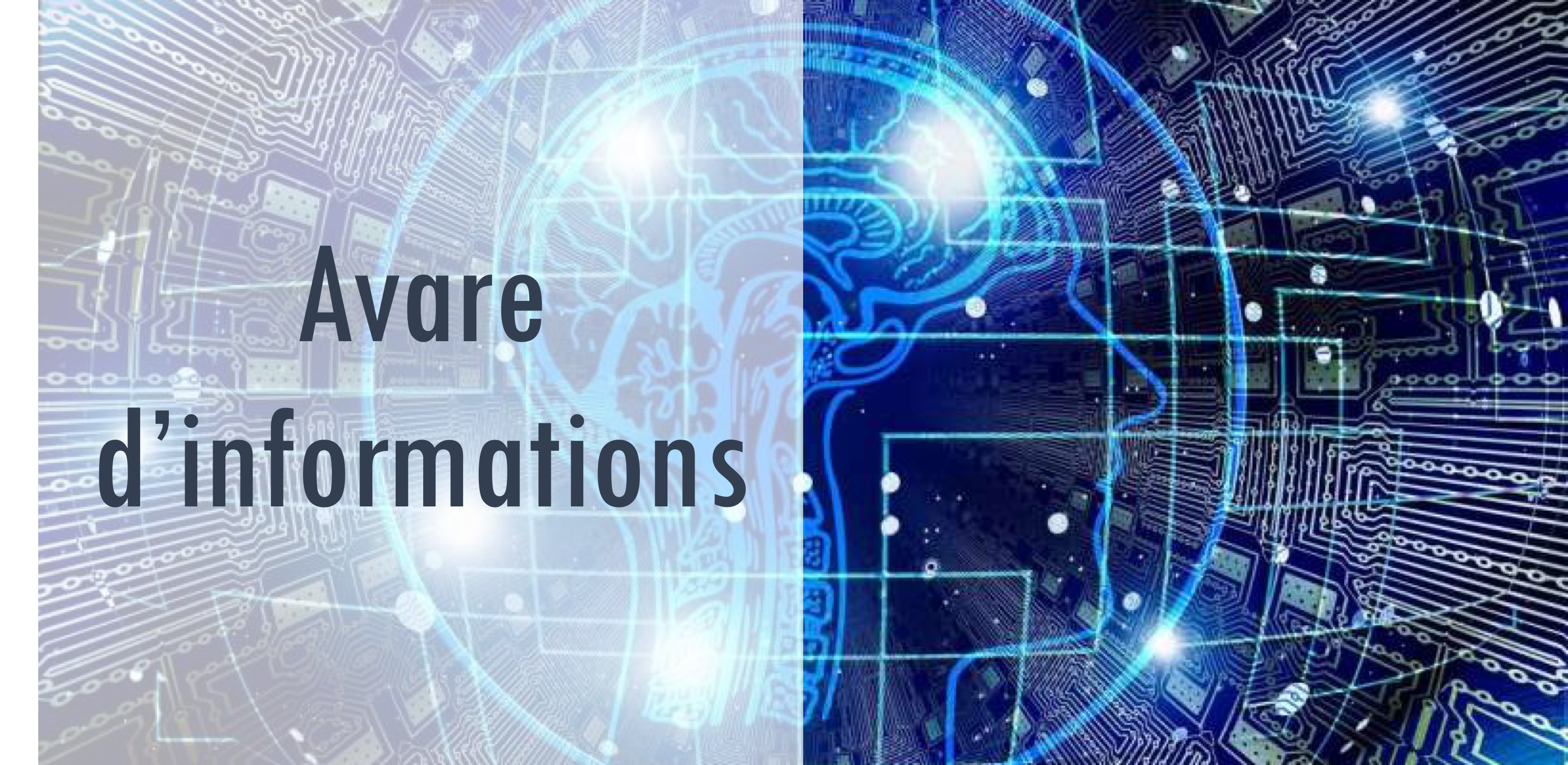 Un cerveau humain avare d'informations