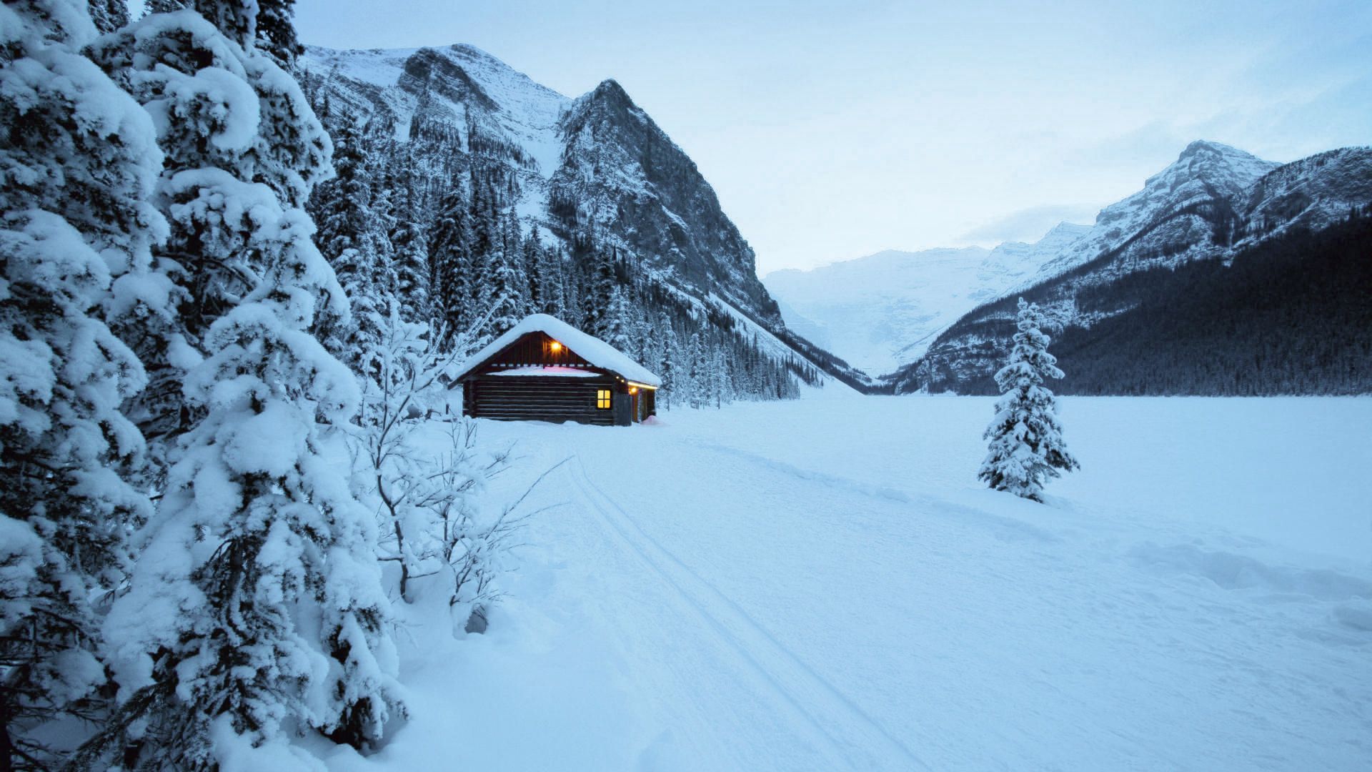 Une cabane en retrait dans les bois enneigés